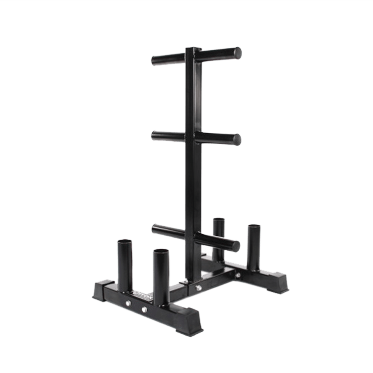 Vertical Olympic Plates and Bar Rack - DirectHomeGym