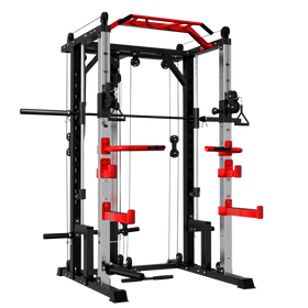 Smith Rack Multi-Gym FTS Combo J9