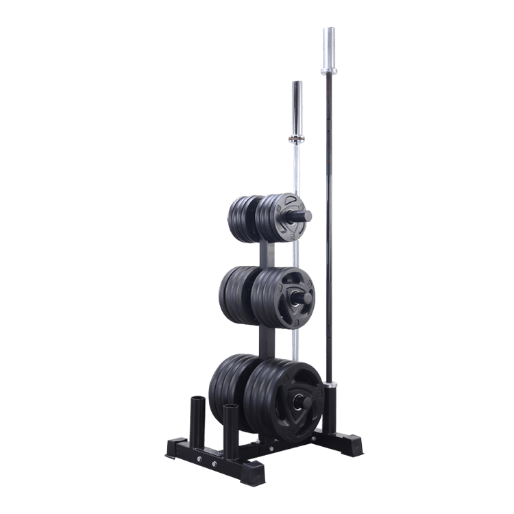 Vertical Olympic Plates and Bar Rack - DirectHomeGym